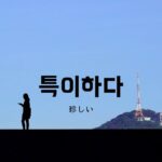 韓国語で「珍しい」とは?【특이하다】意味を勉強しよう!