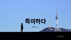 韓国語で「珍しい」とは?【특이하다】意味を勉強しよう!