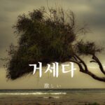 韓国語で「激しい」とは?【거세다】意味を勉強しよう!