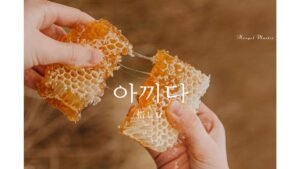 韓国語で「惜しむ」とは？【아끼다】意味を勉強しよう！