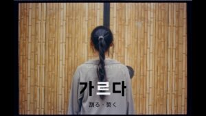 韓国語で「割る／裂く」とは？【가르다】意味を勉強しよう！