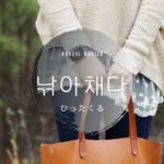 韓国語で「ひったくる」とは？【낚아채다】意味を勉強しよう！