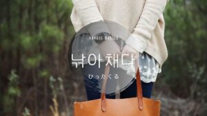 韓国語で「ひったくる」とは？【낚아채다】意味を勉強しよう！