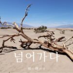 韓国語で「横に倒れる」とは？【넘어가다】意味を勉強しよう！