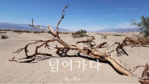 韓国語で「横に倒れる」とは?【넘어가다】意味を勉強しよう!