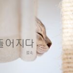韓国語で「歪む」とは?【비뚤어지다】意味を勉強しよう!