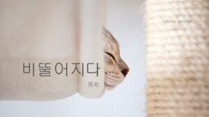 韓国語で「歪む」とは?【비뚤어지다】意味を勉強しよう!