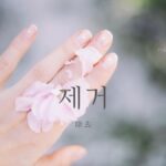 韓国語で「除去」とは?【제거】意味を勉強しよう!