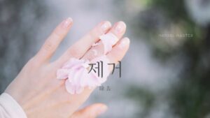 韓国語で「除去」とは?【제거】意味を勉強しよう!