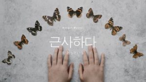 韓国語で「似通っている」とは?【근사하다】意味を勉強しよう!