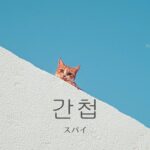 韓国語で「スパイ」とは?【간첩】意味を勉強しよう!