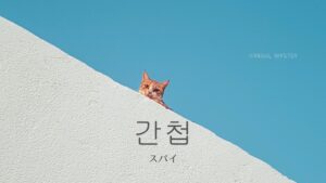 韓国語で「スパイ」とは？【간첩】意味を勉強しよう！