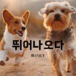 韓国語で「飛び出す」とは？【뛰어나오다】意味を勉強しよう！