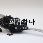 韓国語で「珍しく貴重だ」とは?【희귀하다】意味を勉強しよう!