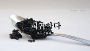 韓国語で「珍しく貴重だ」とは？【희귀하다】意味を勉強しよう！