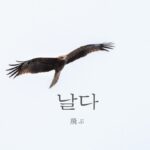 韓国語で「飛ぶ」とは？【날다】意味を勉強しよう！