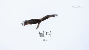 韓国語で「飛ぶ」とは?【날다】意味を勉強しよう!
