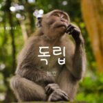 韓国語で「独立」とは?【독립】意味を勉強しよう!