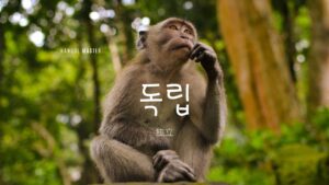 韓国語で「独立」とは?【독립】意味を勉強しよう!