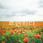 韓国語で「すっきりする」とは?【후련하다】意味を勉強しよう!