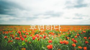 韓国語で「すっきりする」とは?【후련하다】意味を勉強しよう!