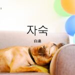 韓国語で「自粛」とは？【자숙】意味を勉強しよう！