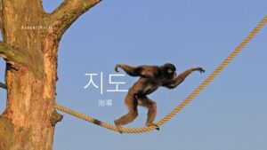 韓国語で「指導」とは?【지도】意味を勉強しよう!