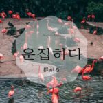 韓国語で「群がる」とは?【운집하다】意味を勉強しよう!