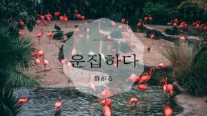 韓国語で「群がる」とは?【운집하다】意味を勉強しよう!