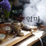 韓国語で「いくら」とは?【얼마】意味を勉強しよう!