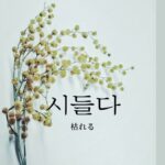 韓国語で「枯れる」とは？【시들다】意味を勉強しよう！