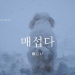 韓国語で「厳しい」とは？【매섭다】意味を勉強しよう！
