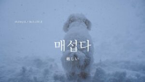 韓国語で「厳しい」とは？【매섭다】意味を勉強しよう！