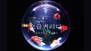 韓国語で「うじゃうじゃうごめく」とは?【오글거리다】意味を勉強しよう!