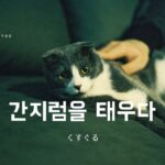 韓国語で「くすぐる」とは？【간지럼을 태우다】意味を勉強しよう！