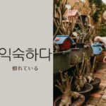 韓国語で「慣れている」とは？【익숙하다】意味を勉強しよう！