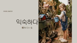 韓国語で「慣れている」とは?【익숙하다】意味を勉強しよう!