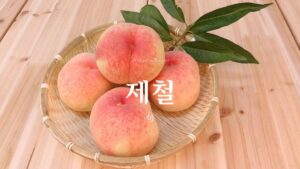 韓国語で「旬」とは？【제철】意味を勉強しよう！