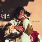 韓国語で「ツンデレ」とは？【츤데레】意味を勉強しよう！