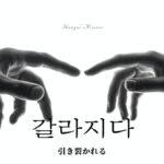 韓国語で「割れる」とは?【갈라지다】意味を勉強しよう!