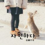 韓国語で「志願する」とは？【자원하다】意味を勉強しよう！