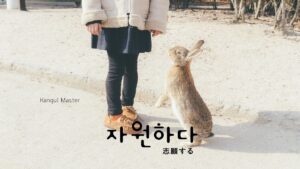 韓国語で「志願する」とは？【자원하다】意味を勉強しよう！