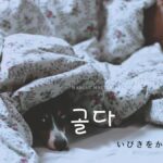 韓国語で「いびきをかく」とは?【골다】意味を勉強しよう!