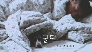 韓国語で「いびきをかく」とは?【골다】意味を勉強しよう!