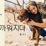 韓国語で「近づく」とは?【가까워지다】意味を勉強しよう!