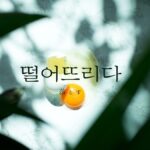 韓国語で「落とす」とは?【떨어뜨리다】意味を勉強しよう!