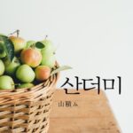 韓国語で「山積み」とは?【산더미】意味を勉強しよう!