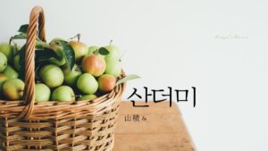 韓国語で「山積み」とは？【산더미】意味を勉強しよう！