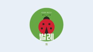 韓国語で「虫」とは？【벌레】虫の名前一覧