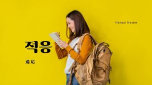 韓国語で「適応：적응」「慣れる：적응하다」意味を勉強しよう！